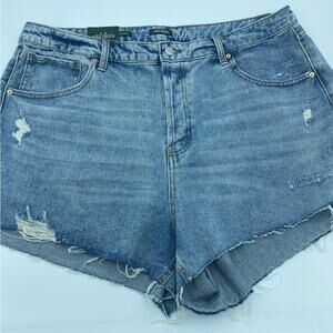 Wild Fable Super High Rise Jean Cutoff Shorts Mom Retro Summer- 17